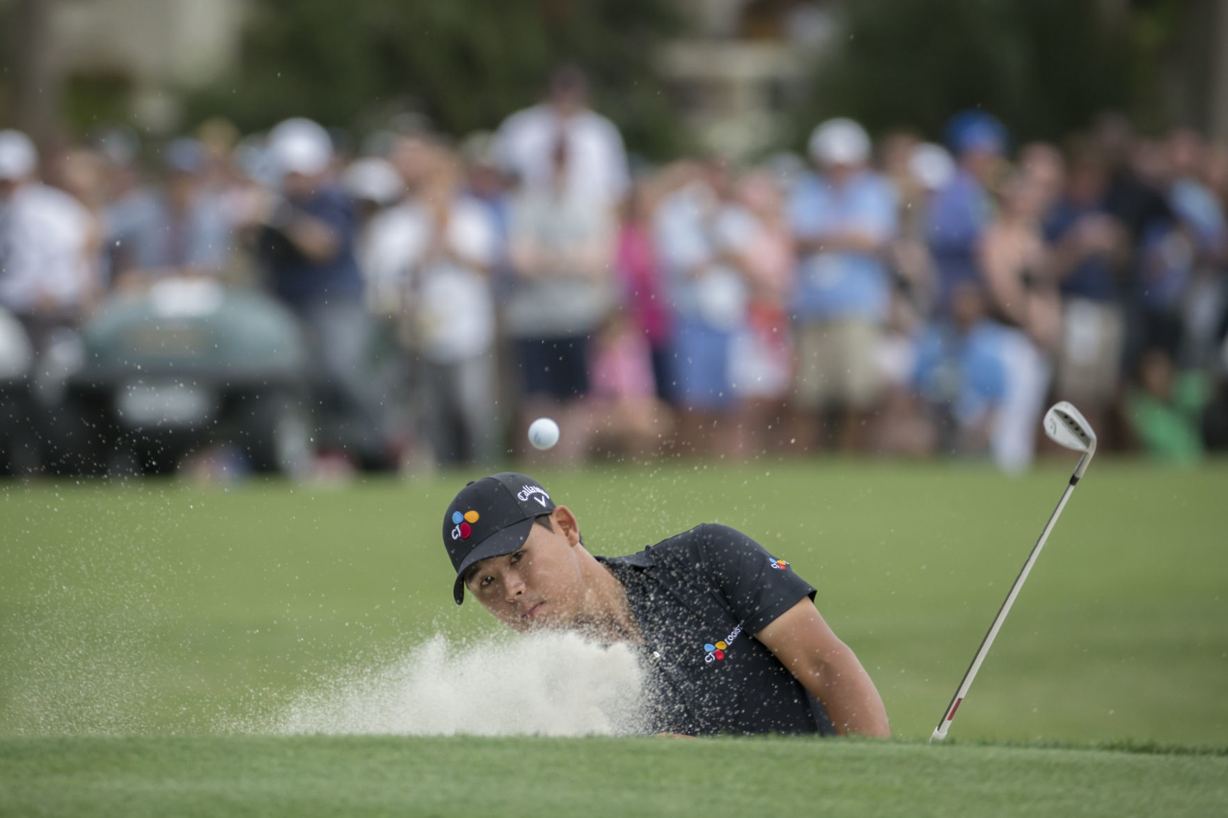 RBC Heritage Golf